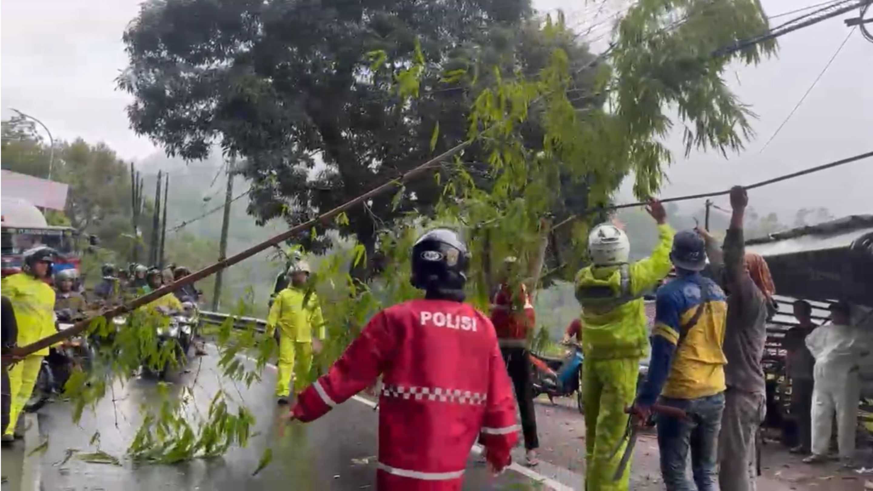 Cuaca Ekstrem Picu Pohon Tumbang, Polisi Gerak Cepat Buka Jalur Kadungora